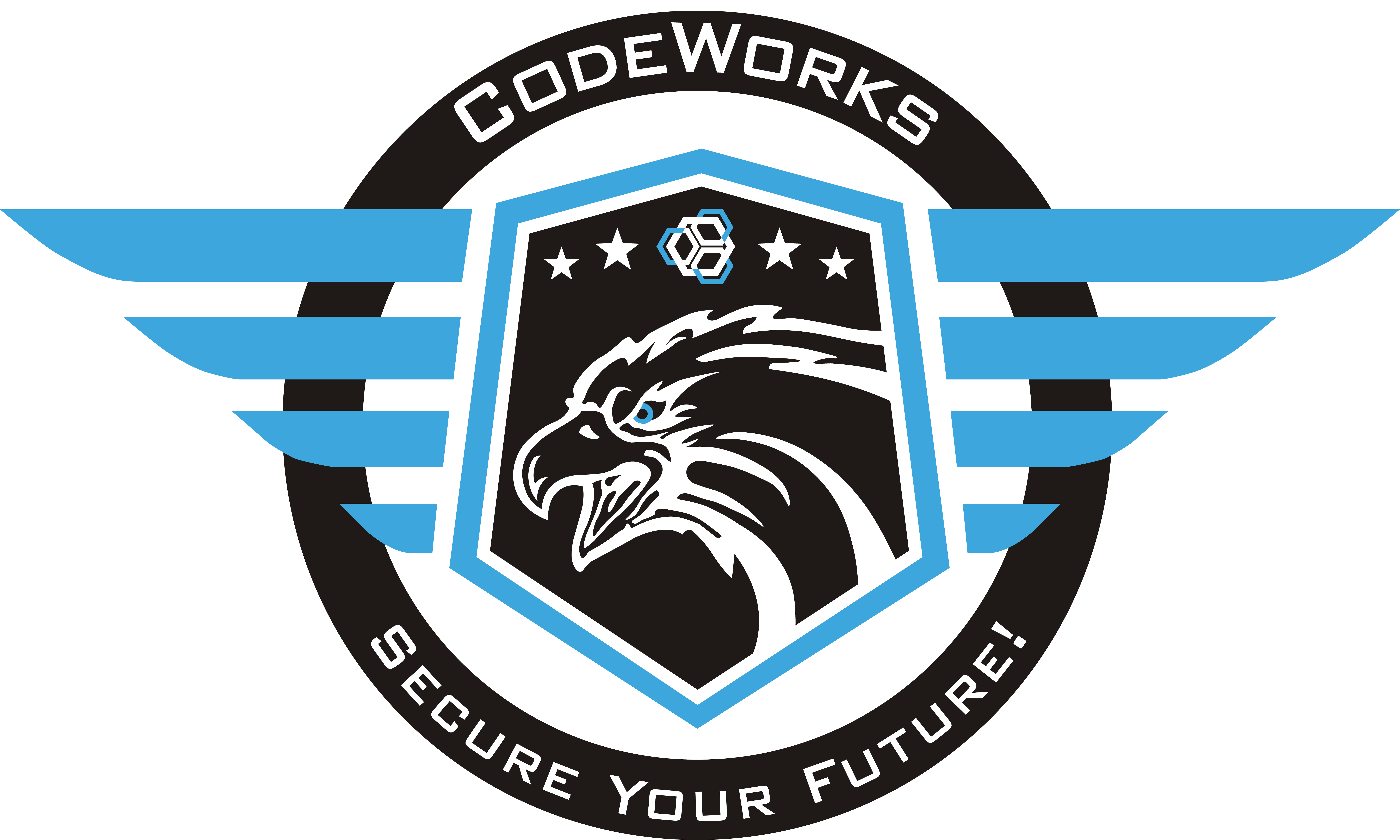 Course Logo Cyber Security