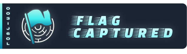 capture the flag